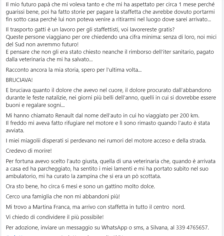 Qua la Zampa tweet media