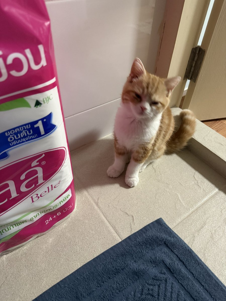 Rattakit Sahapiboonpon tweet media