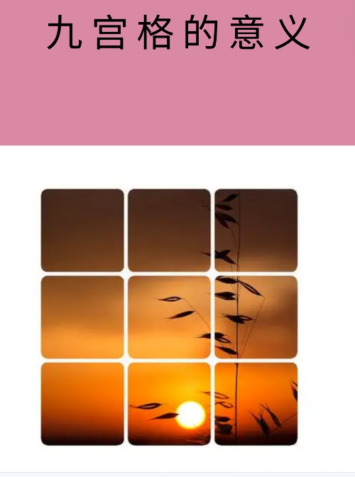 zmvzyaqoLeu3AMM's tweet image. " Photography 101 Tip: Rule of Thirds! Align your subject (e.g., a flower, a person) at the grid intersections—your shots will look way more balanced. Try it today! #PhotographyTips #BeginnerPhotography"