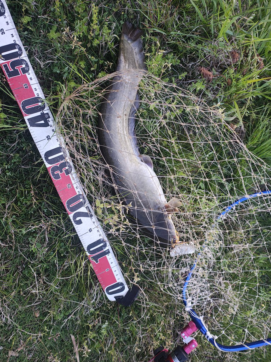 よっと tweet media