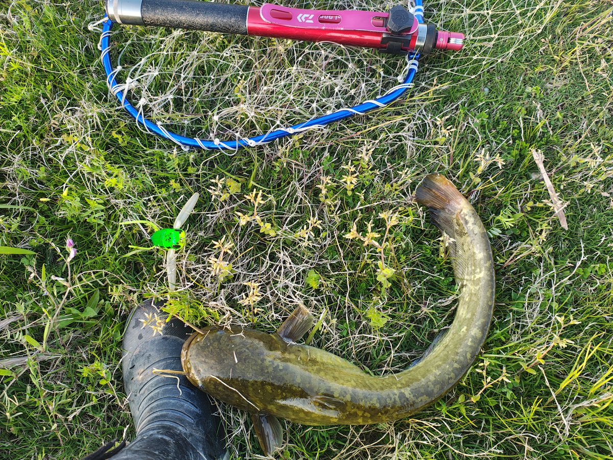 よっと tweet media