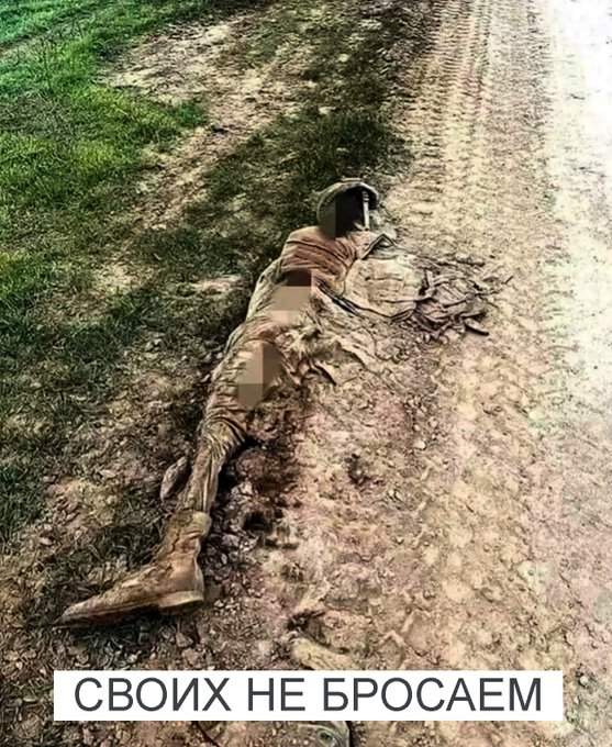 Michael🐻 opět hrdý na 🇨🇿, podporuje 🇺🇦 🇮🇱 tweet media