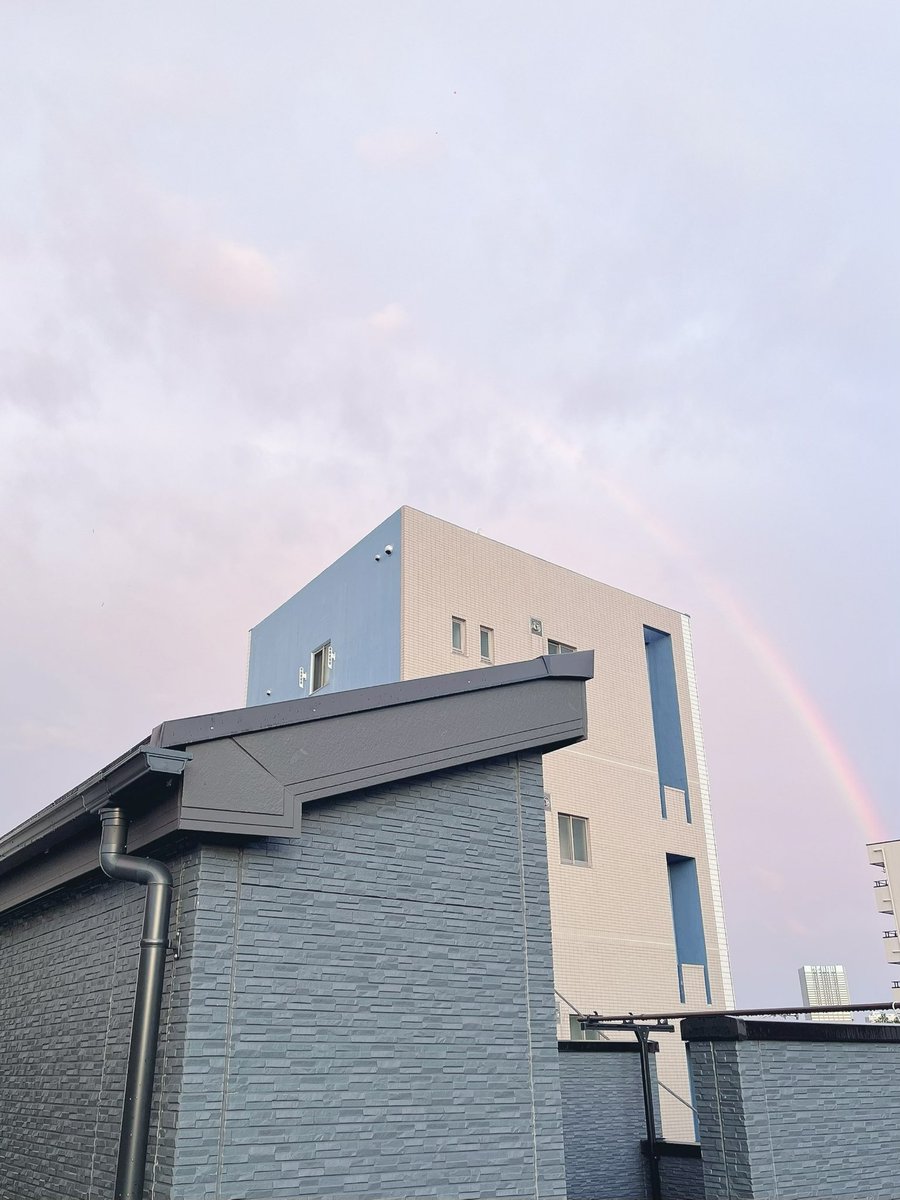 はれ✌️🧩 tweet media