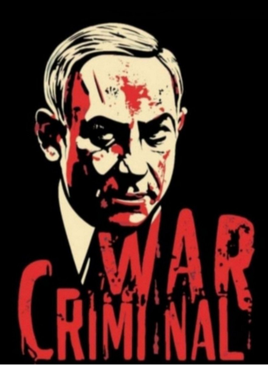 El zorro tweet media