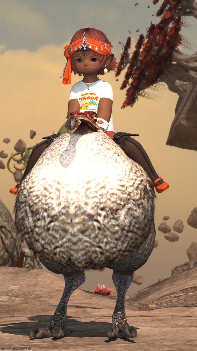 ff14tom2020's tweet image. お疲れ様(｡･ᴗ･)_🍵

もうすぐ休みですね。踏ん張って頑張るぞ！
ギャザラーで集めたドローンチップが底をついたｗ
パッチ7.5もあるしスクショ撮影もあるなー
やることてんこ盛り😇

#FF14 #FFXIV