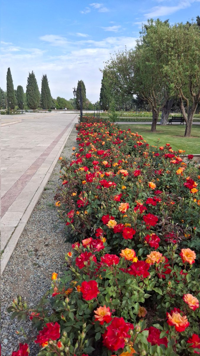 Jimmy Virk - Imranian 🇵🇰 tweet media