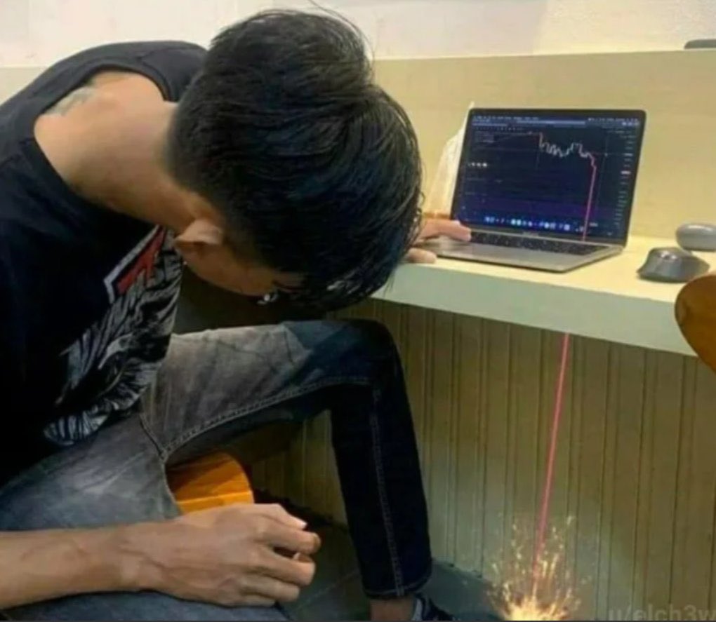 DiaryTrader tweet media