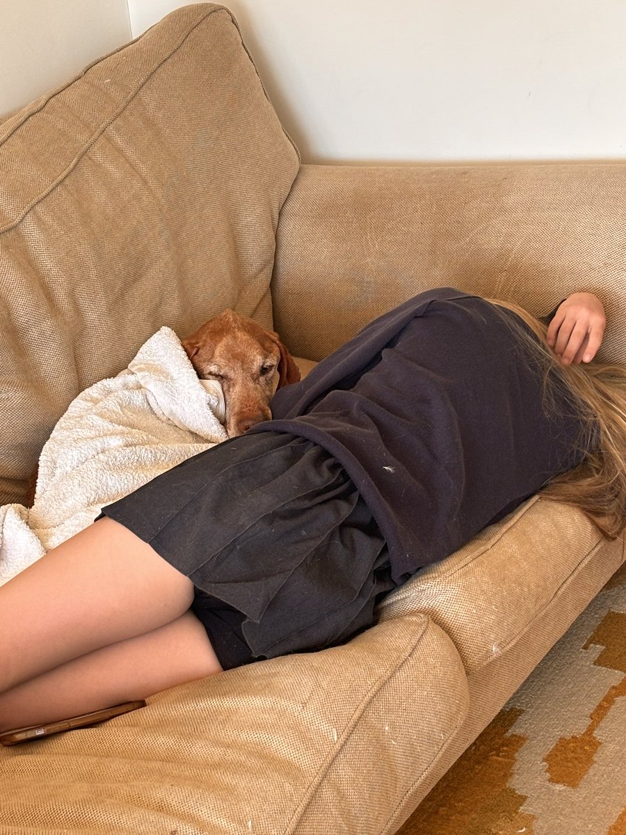 GentlemanLoader tweet media