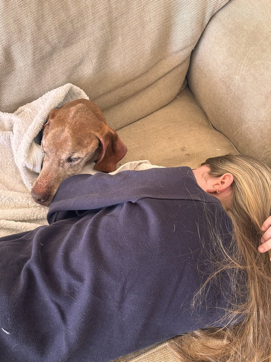 GentlemanLoader tweet media