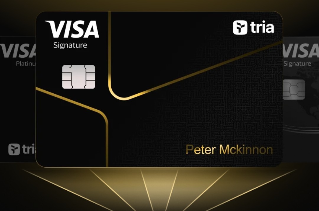 Gujil Ruipa tweet media