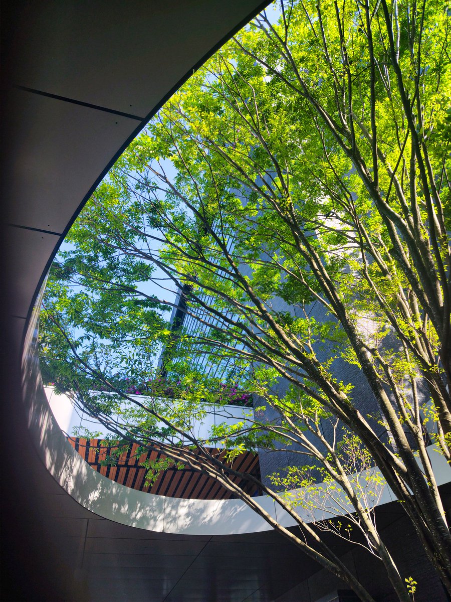 Is it a tree being trapped, or a space made to set it free?
Maybe it depends on how you see it.🌳🕳️