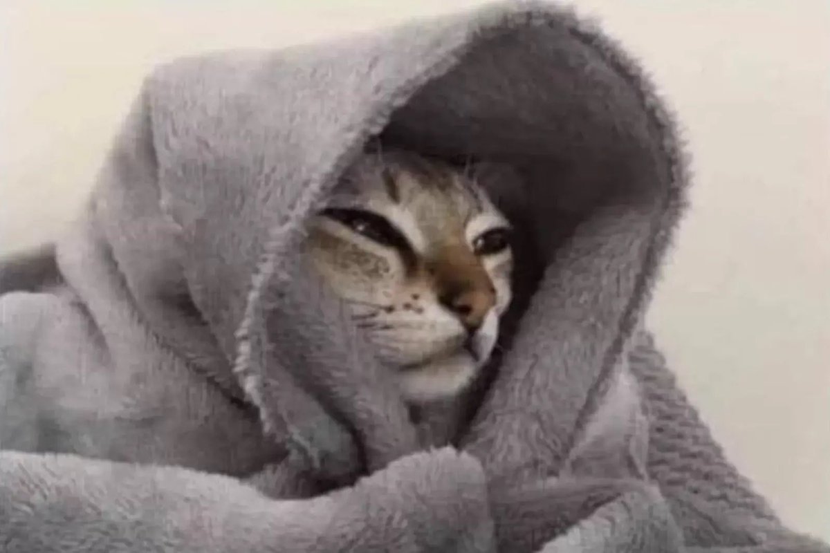 está helado y tengo sueño