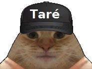 𝐍𝐯𝐫 tweet media
