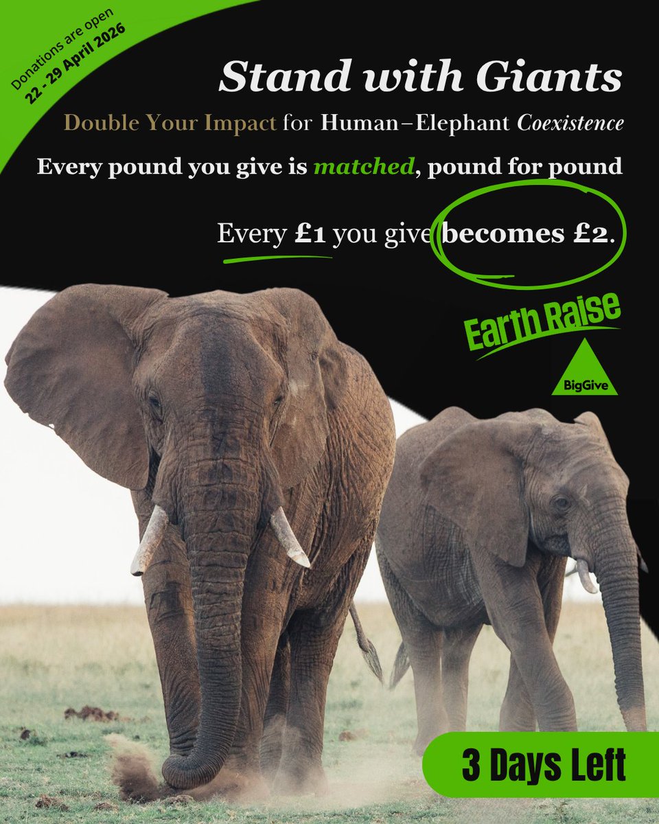 SpaceforGiants's tweet photo. With only 48 hours left, every donation you make is matched, and goes towards elephant-human coexistence infrastructure on the ground in Africa.

You do not need to give a lot. Your £1 becomes £2. Your £5 becomes £10. Your £50 becomes £100. You just need to give before midday on Wednesday 29 April.

Stand with Giants, and help Space for Giants install solar fences keeping small-scale farmers safe in Gabon. The short-post electric fencing along the corridors in western Uganda where farmers like Moses Birungi spent three seasons not sleeping at night. The monitoring systems that track elephant movement before they reach a field in Laikipa, Kenya, and not after.

Right now is the time to be part of what changes it.

Make your gift — it doubles today → https://t.co/RjzMyihQoo

#StandWithGiants #EarthRaise2026 #BigGive