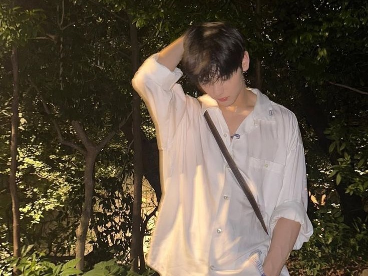 Woodsy Corner. tweet media