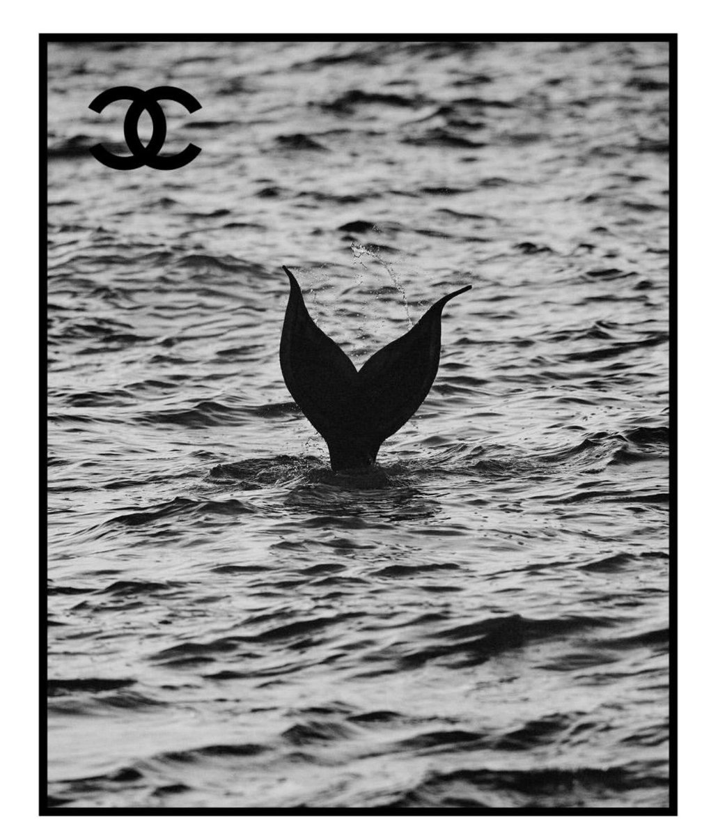 Outlander Magazine tweet media