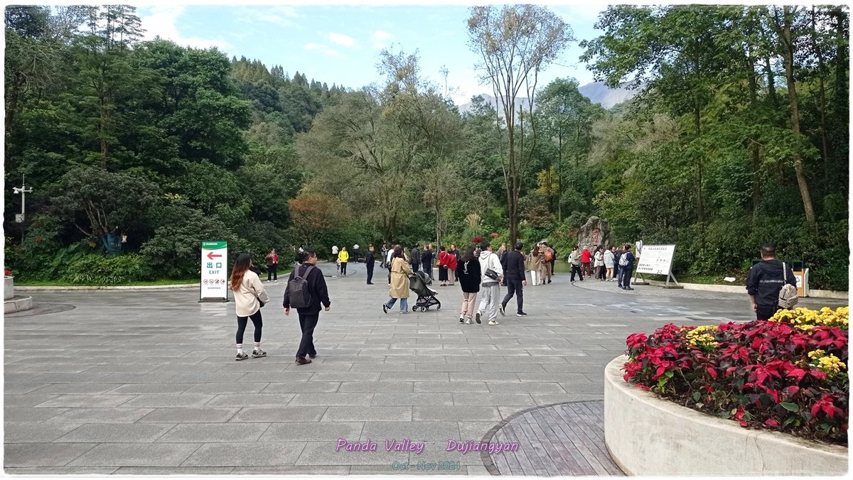 PantipTravel's tweet image. 🐼 ชมแพนด้าในสวนสัตว์ Panda Valley เมืองตูเจียงเอี้ยน - Chengdu Trip Nov'2024 EP.04

📌  pantip.com/s/BkJpb

#บลูแพลนเที่ยว #บลูแพลนเน็ต #Blueplanet #แพนด้า #PandaValley #เฉิงตู #เที่ยวจีน #เที่ยวต่างประเทศ