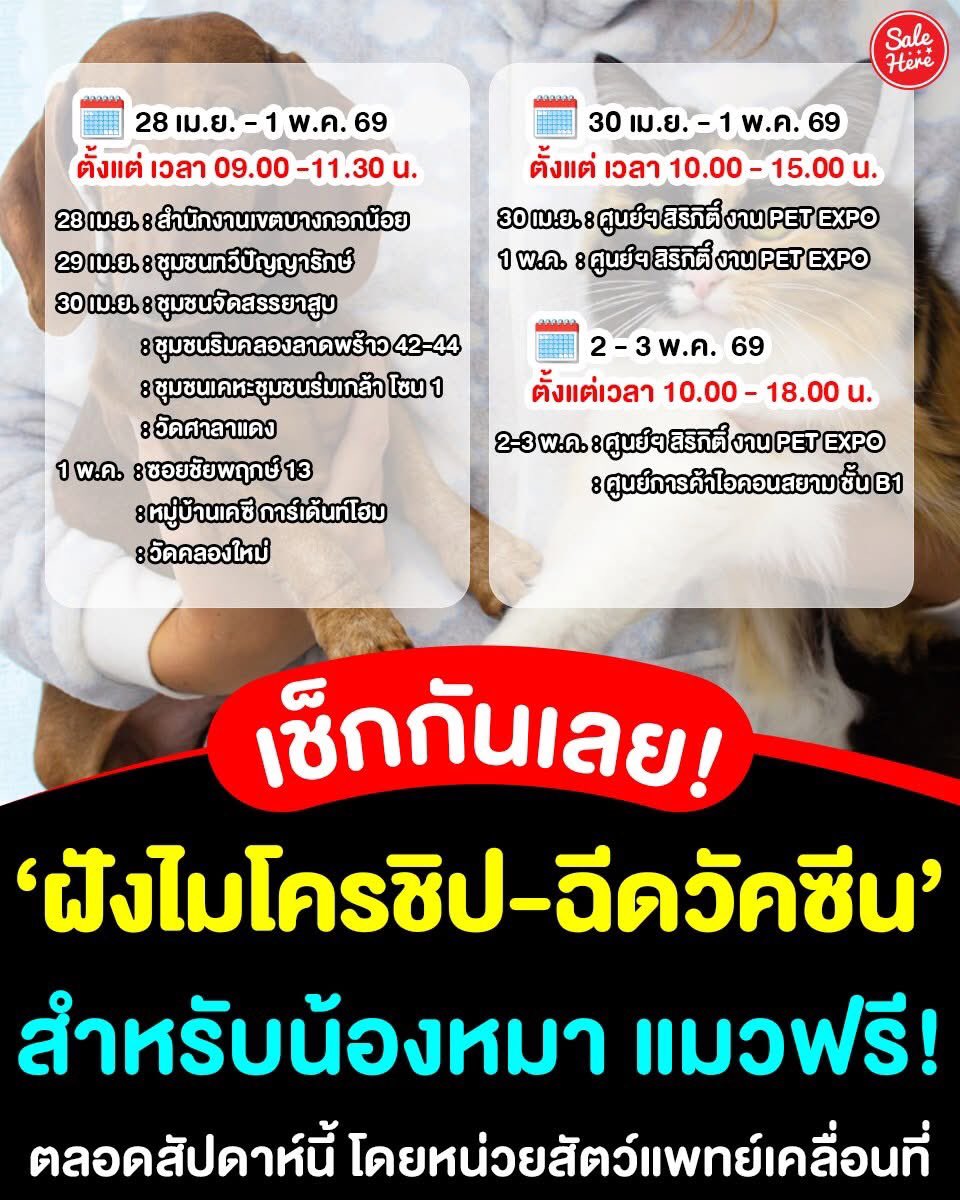salehere1's tweet image. 📣 เช็กพิกัดแล้วพาน้องๆ ไปกัน 🐶 สำนักอนามัย ชวน #ฝังไมโครชิป #ฉีดวัคซีนป้องกันโรคพิษสุนัขบ้า ฟรี! 🐱 จากหน่วยสัตวแพทย์เคลื่อนที่ ตลอดสัปดาห์นี้ ตั้งแต่วันที่ 28 เม.ย. - 3 พ.ค. 69

📍อ่านเพิ่มเติม &amp;gt; facebook.com/share/p/1JLyGE…

#SaleHere #เซลเฮียร์ #หน่วยสัตวแพทย์เคลื่อนที่