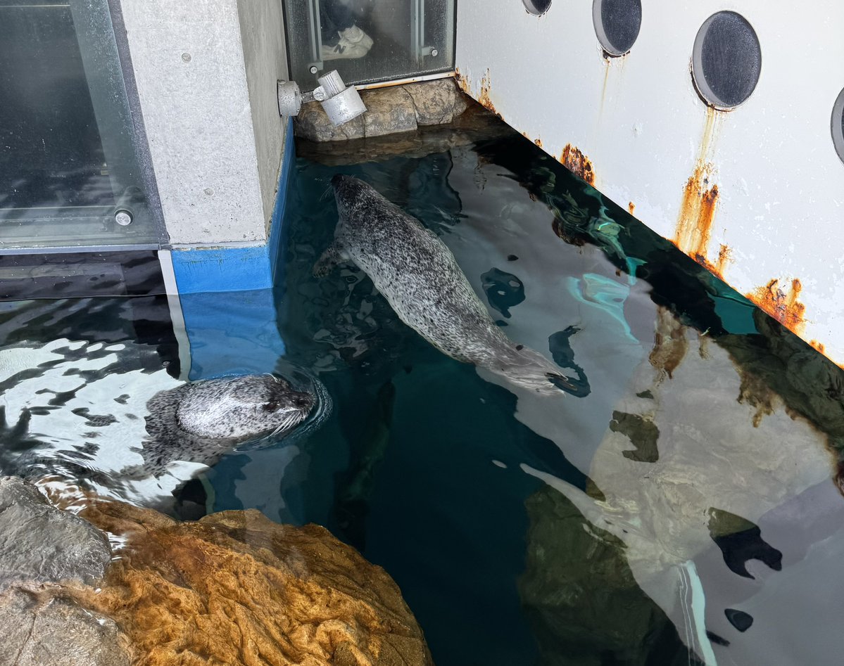 ひまり tweet media