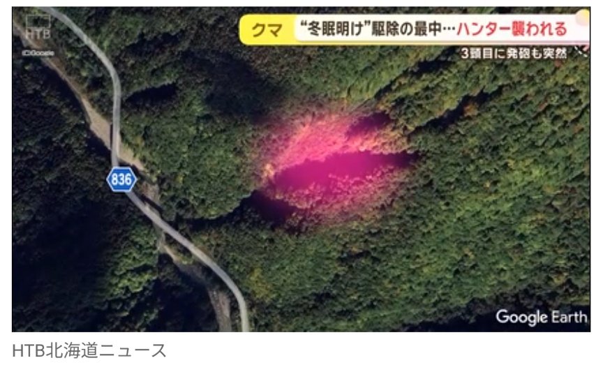 日本熊森協会🐻支部員 tweet media