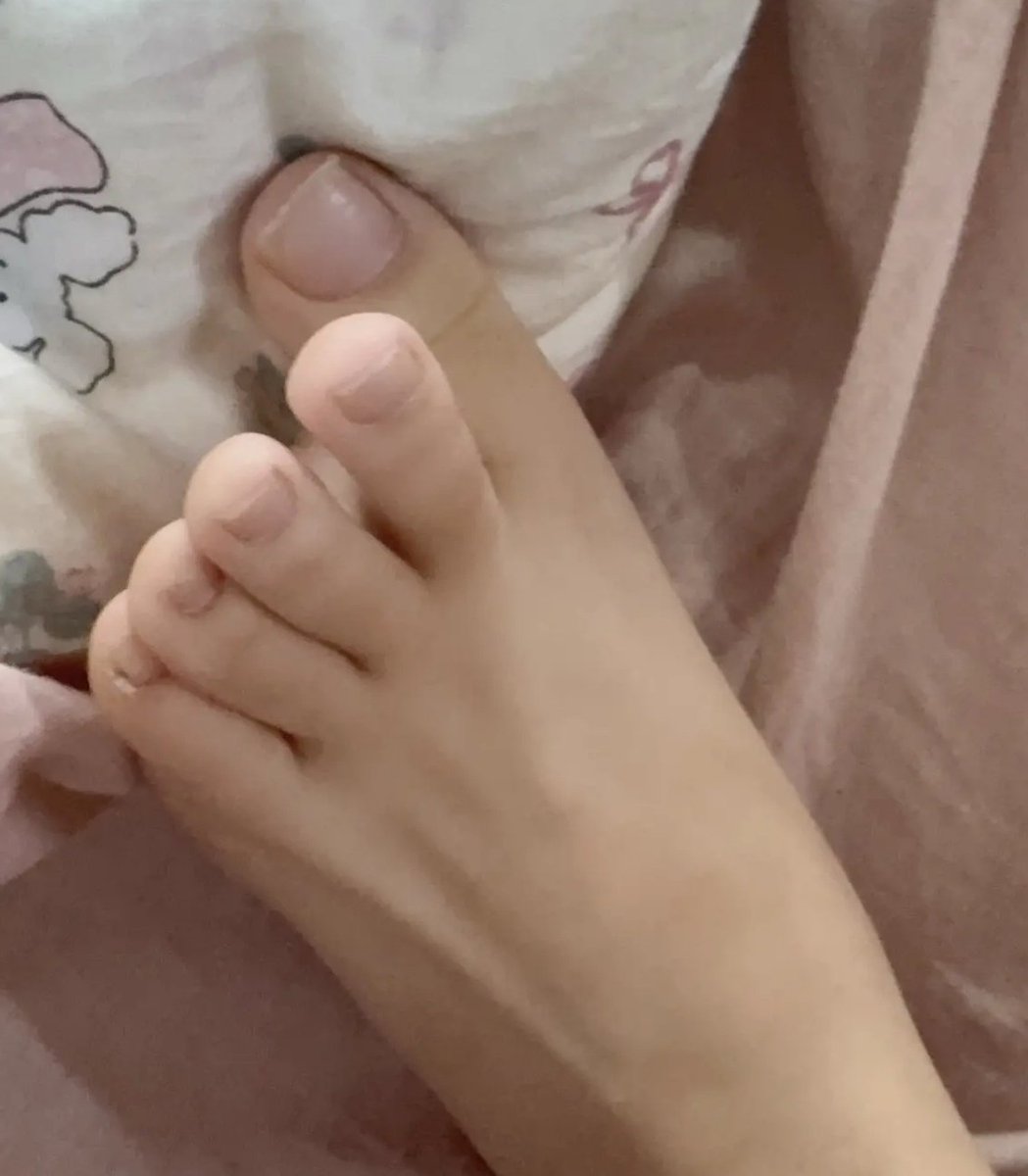 粪海狂蛆 tweet media