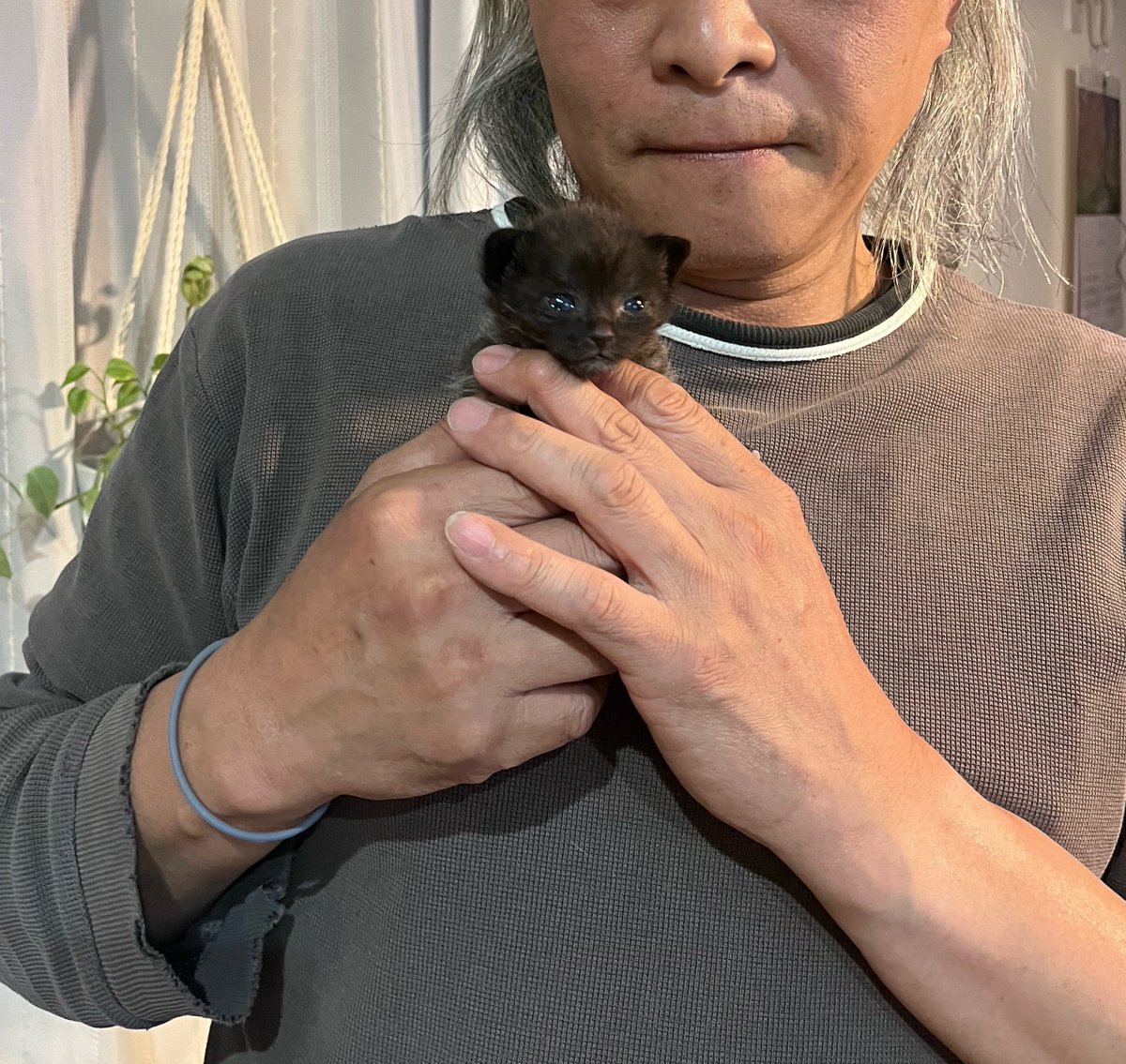 《 K 》 tweet media