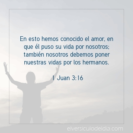 elversiculo's tweet image. En esto hemos conocido el amor, en que él puso su vida por nosotros; también nosotros debemos poner nuestras vidas por los hermanos.  1 Juan 3:16   #versiculodeldia #versiculobiblico #biblia