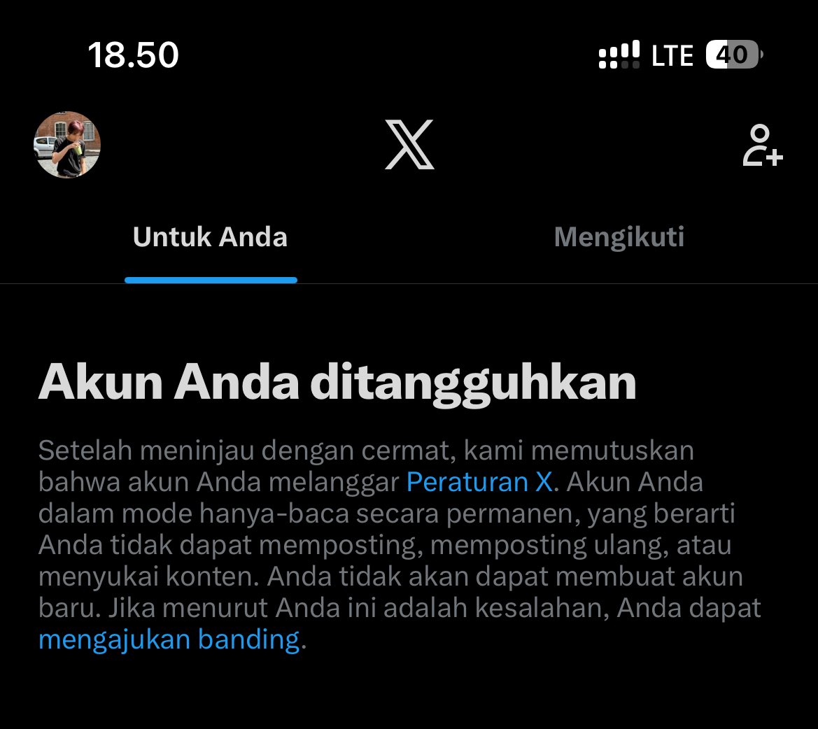 Sunflowerssun // fsr on wa //appiprem //cek gtc 1k tweet media
