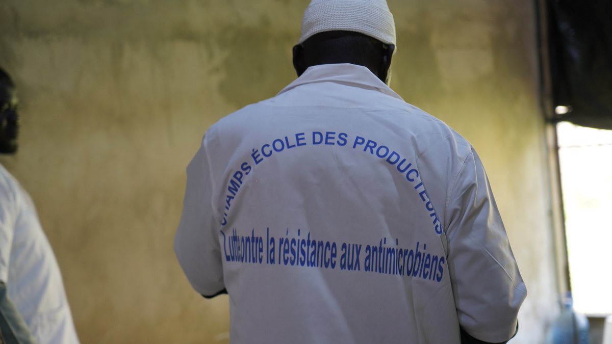FAO au Sénégal tweet media