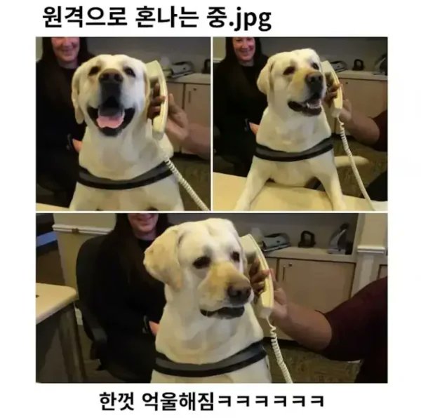 Loopy_Gongju tweet media