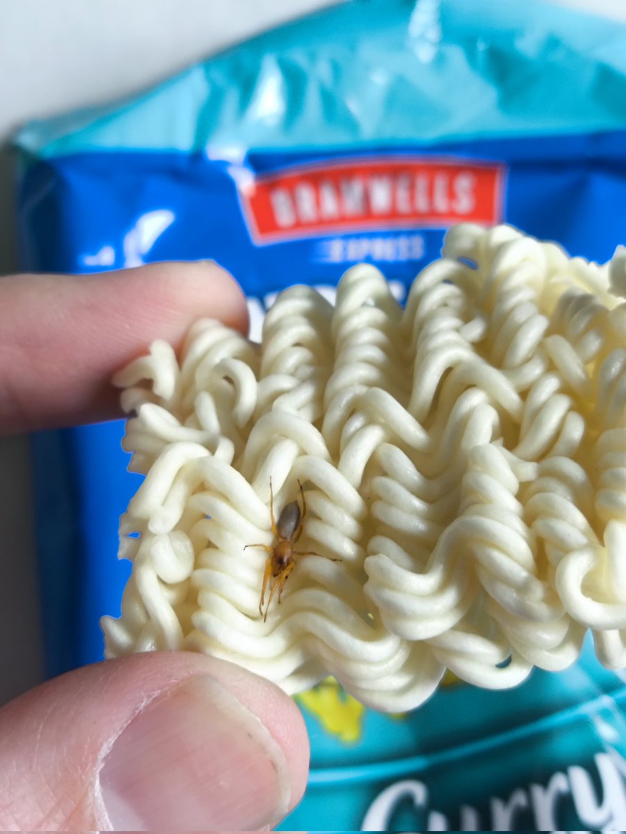 Mungry's tweet photo. Oh hey @AldiUK I thought your noodles where meant to be meat free. Then I find this fella https://t.co/B7nPOTX1ly