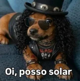 acervognr's tweet photo. bom dia https://t.co/xC6EzM7hUp