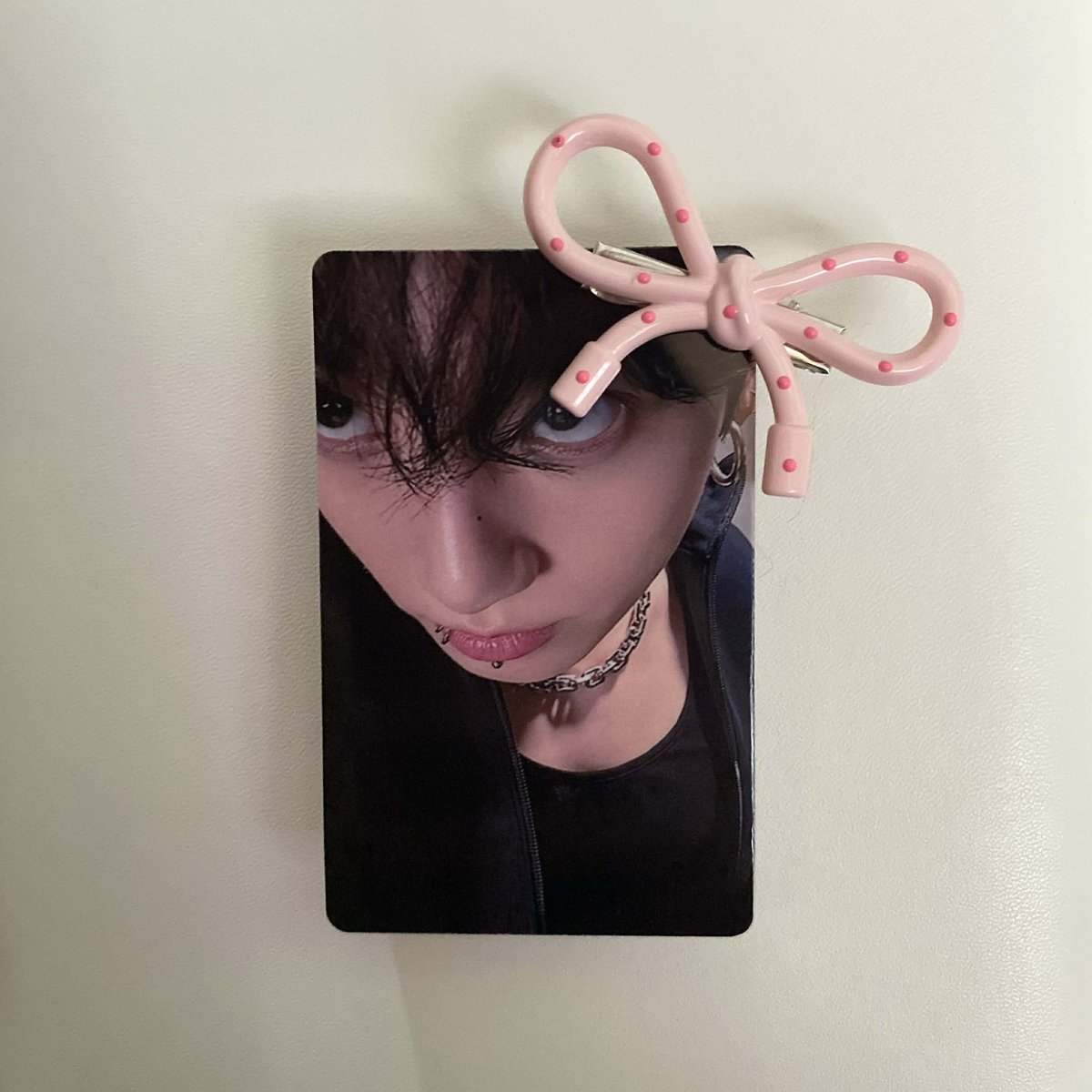 ₍ᐢ. .ᐢ₎