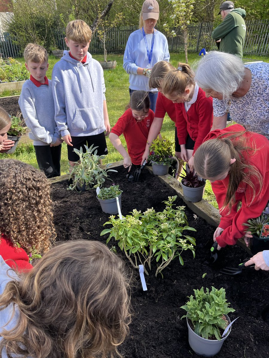 Inverkip Primary tweet media