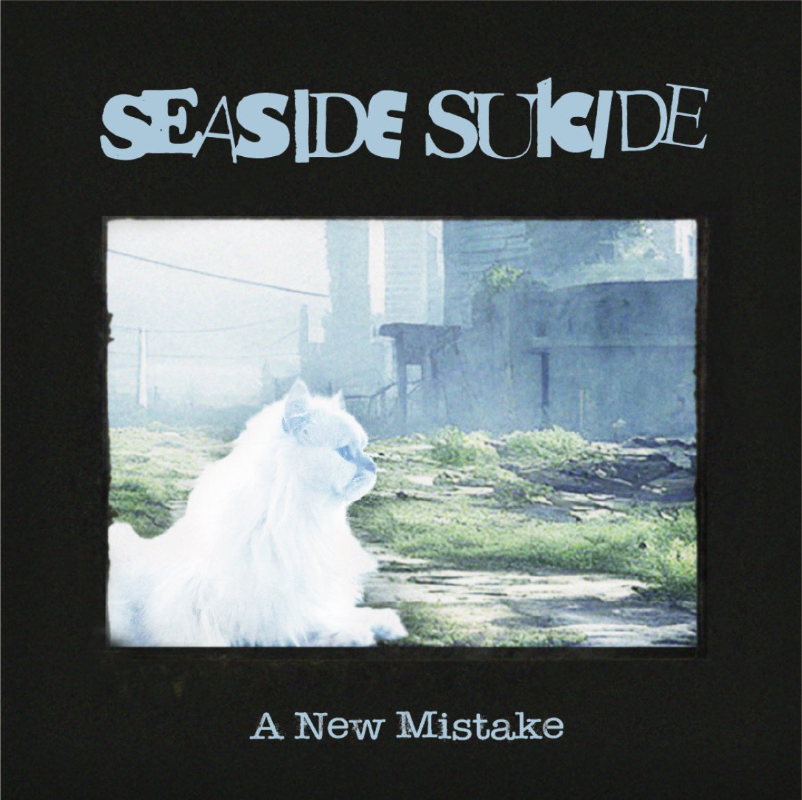 SEASIDE SUICIDE tweet media
