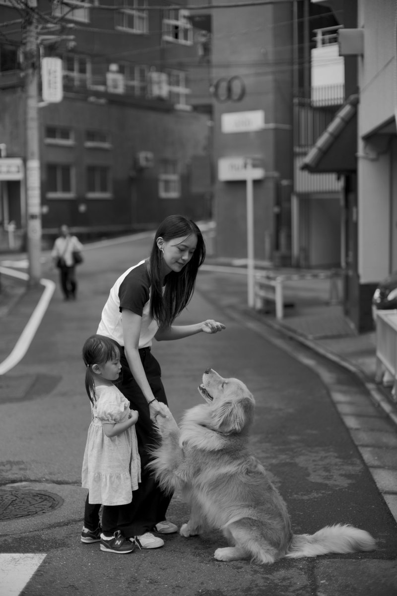 ハービー・山口の写真展「HOPE 2026 ～シャッターを切ったとき、幸せだった。～」が、6月26日（金）より六本木にて開催。1970年代の作品から最新作まで、厳選された約80点を展示。雑誌『写真』編集長 村上仁一との写真展開催記念トークイベント、自身のギャラリートークも。

genic-web.com/articles/95441…