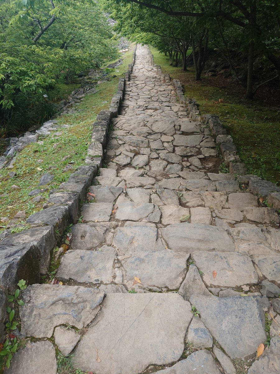 ぶる～すBLUES tweet media