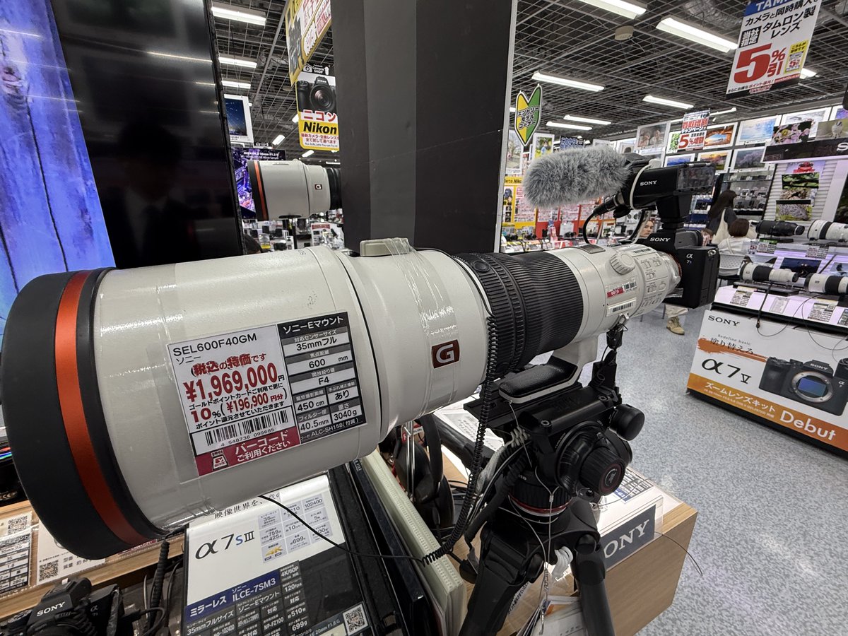 カフ樂園 tweet media