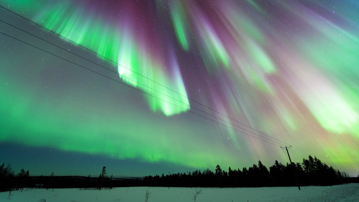 ASFFest's tweet image. #DidYouKnow Aesthetica Film Festival features more than 300 films every year. 

Our Official Selection includes animation, comedy, documentary, drama, experimental, family friendly, thriller and more. 

Find Out More: asff.co.uk