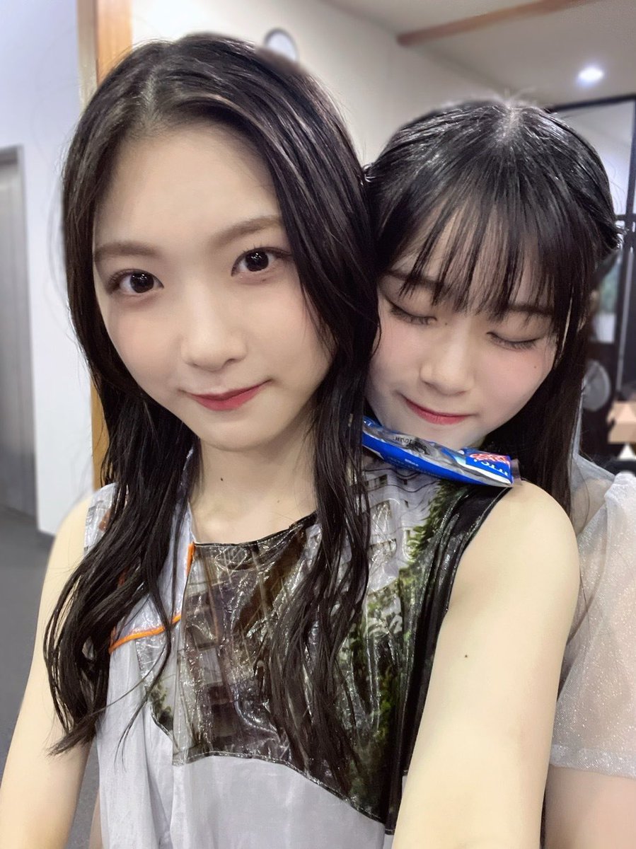 ぴよぴよ tweet media