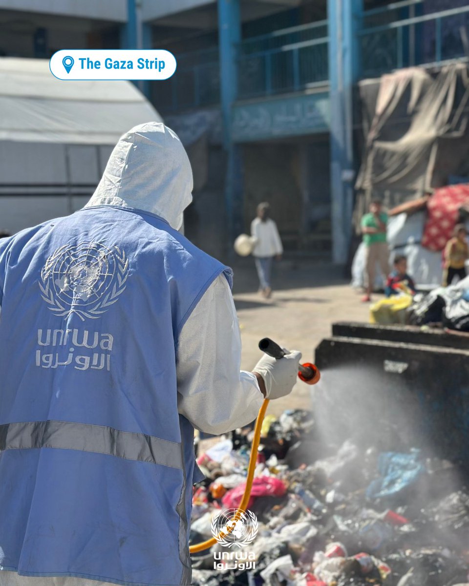 UNRWA's tweet image. In the #Gaza Strip, the spread of rodents and other pests has become a serious public health issue.

Overcrowded shelters, disrupted waste management, and restrictions on the entry of pesticides, equipment, and fuel are accelerating health risks, especially in displacement sites,