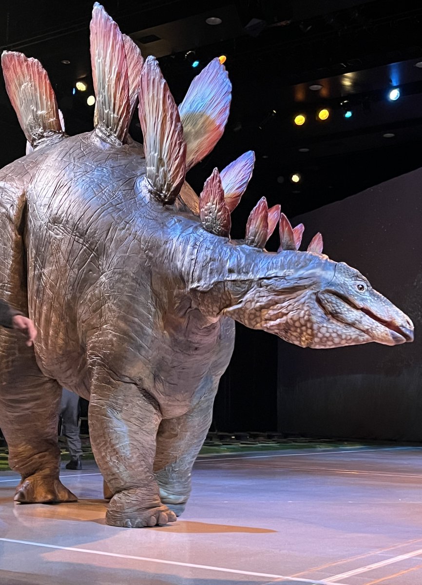 【公式】DINO SAFARI 2026 tweet media