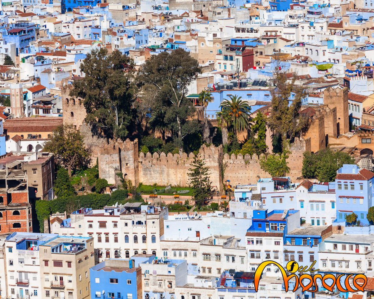 Feel Morocco tweet media