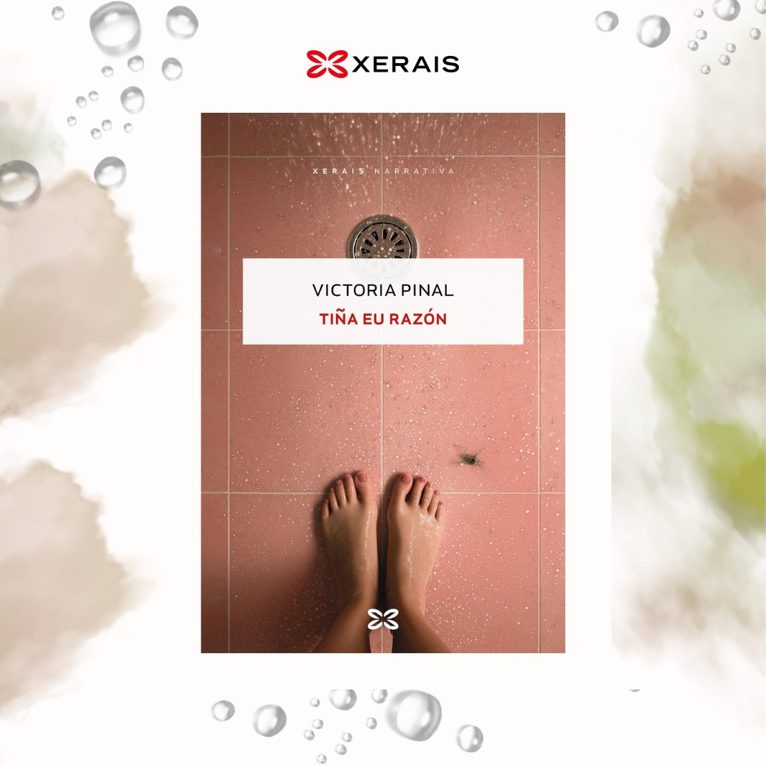 Xerais tweet media
