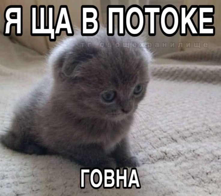 придурок (@zxxiao3) on Twitter photo 