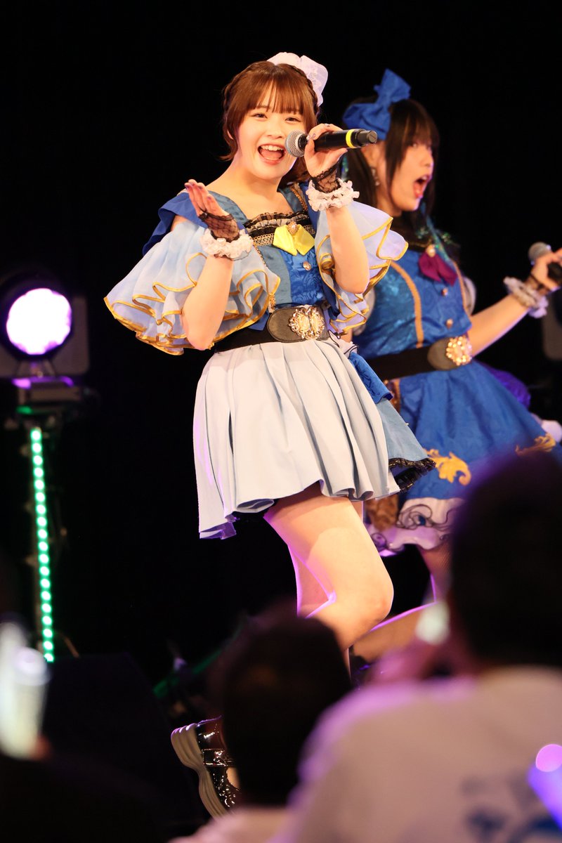 まかろん（なうやしの家の猫） tweet media