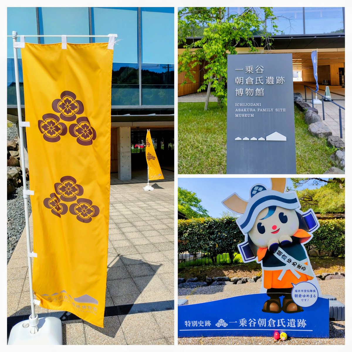 🆕ざっくん✨ 【みやざっくん、でもOK】 tweet media