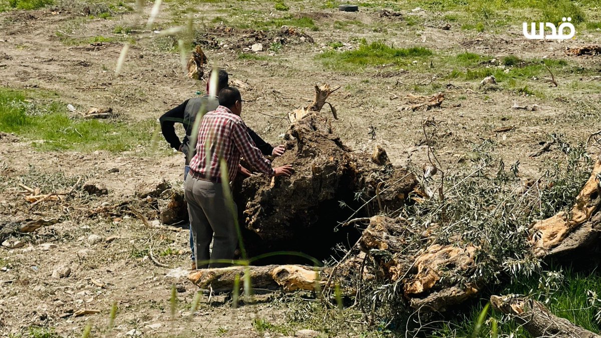 Quds News Network tweet media