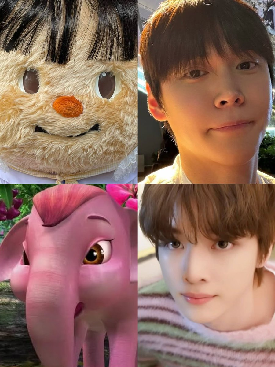 จองบี้ tweet media