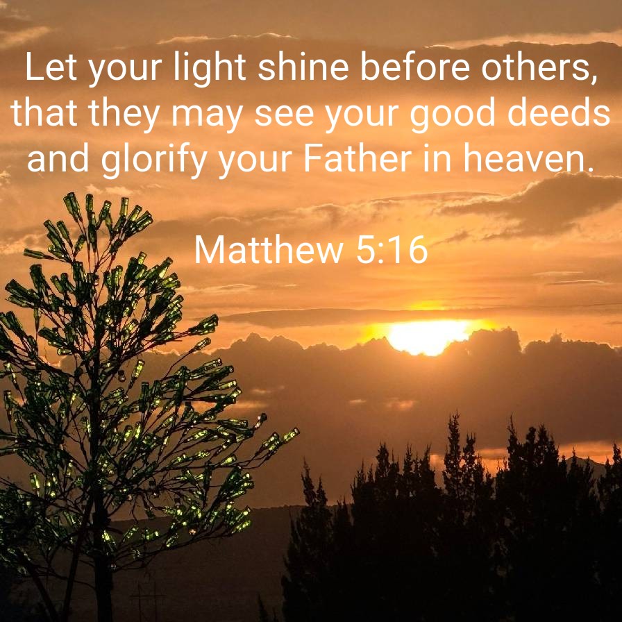 Church & State tweet media